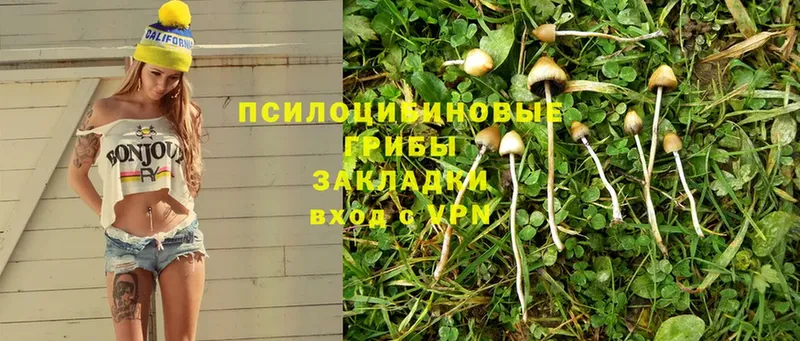 Псилоцибиновые грибы Magic Shrooms  Гуково 